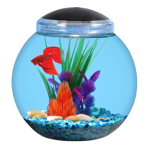 Magical Lights Fish Bowl: Bringing Your Pet's Home to Life